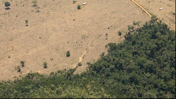 Atualmente, a maior parte das emissões brasileiras vem de mudanças no uso do solo, ou seja, do desmatamento de biomas para outros usos. Foto: Daniel Teixeira/Estadão