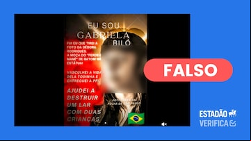 Imagem mostra captura de tela da postagem verificada. Foto: Reprodução/TikTok