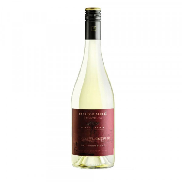  Morandé Terrarum Single Estate Sauvignon Blanc 2021 