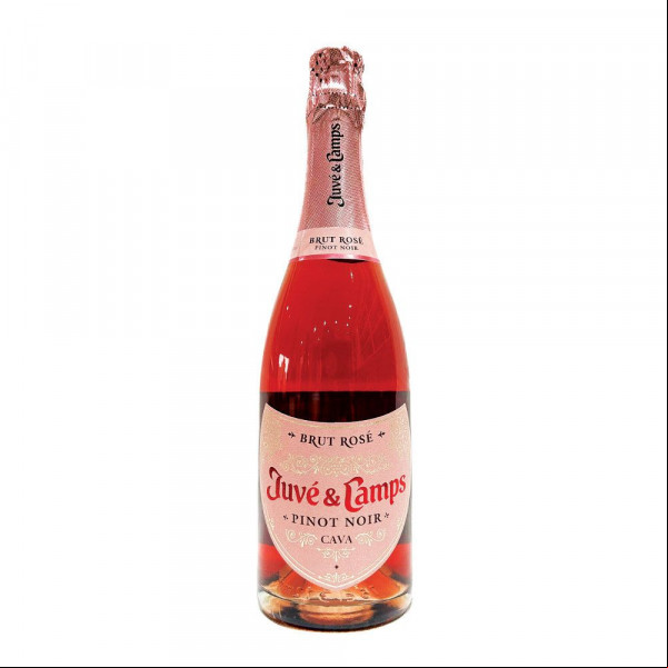 Cava Juvé & Camps Pinot Noir Brut Rosé