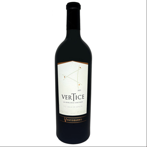 Ventisquero Vertice 2020