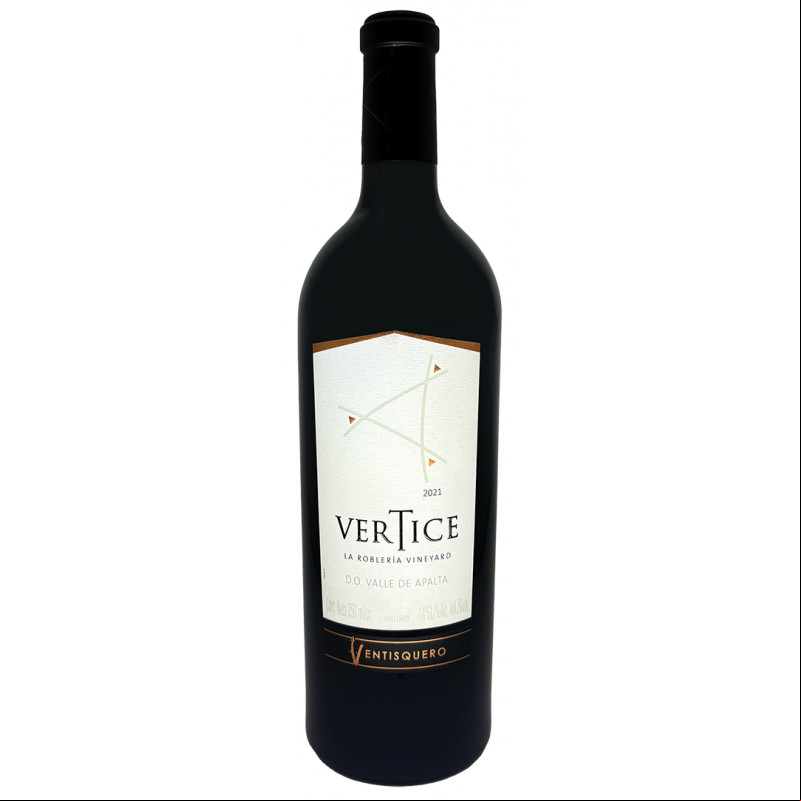 Ventisquero Vertice 2020