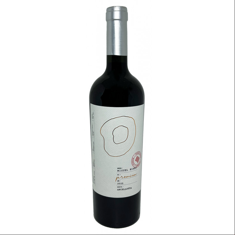 Miguel Minni Cabernet  Sauvignon 2021 
