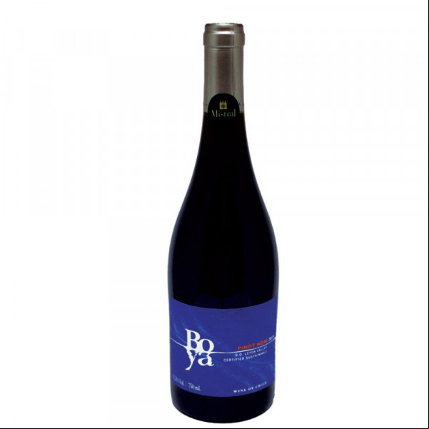 Garcés Silva Amayna Boya Pinot Noir 2019
