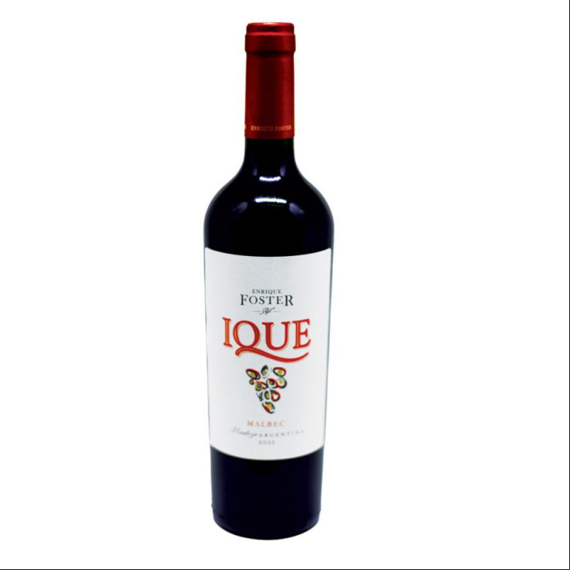Enrique Foster Ique Malbec 2022