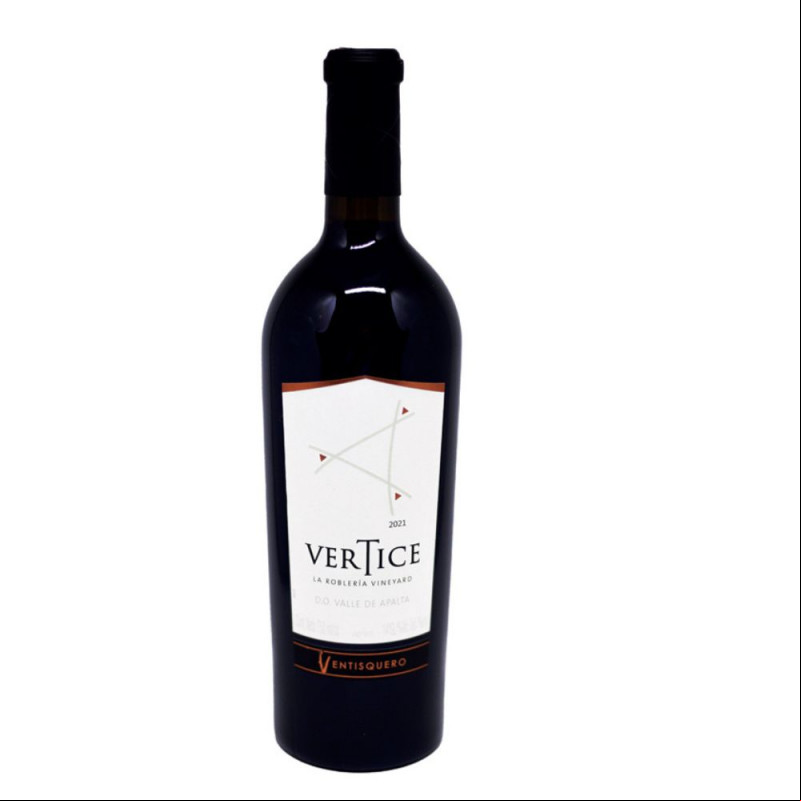 Ventisquero Vertice 2020